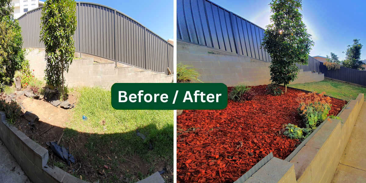 Yard transformation 6